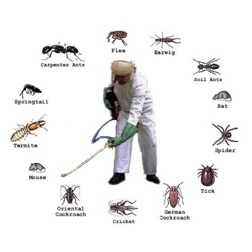 Pest Control